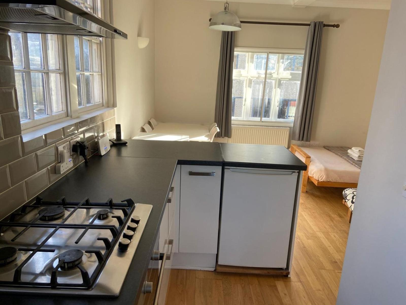 Period Apartment On South Bank Londen Buitenkant foto
